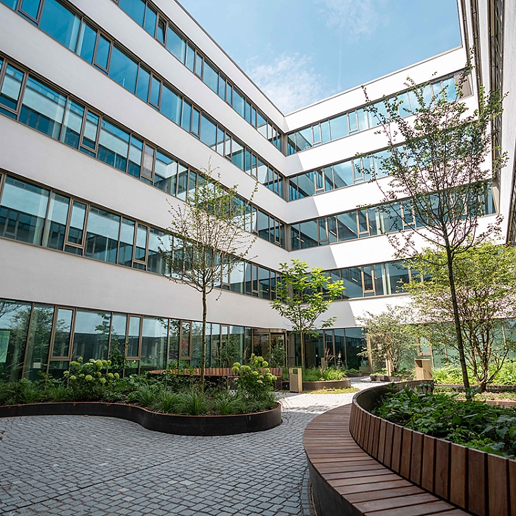 Bäume, Büsche, Gräser und Sitzmöglichkeiten verwandeln den offenen Garten Floating Landscape in einen ganzjährigen grünen Begegnungsort.