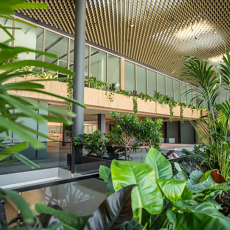 Während die Decke und die Glasfront Tageslicht in die Lobby bringen, sorgen die Pflanzen und das viele Holz für die Wohlfühlatmosphäre.